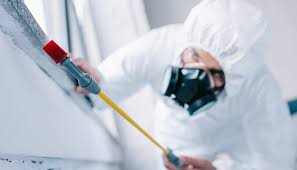 Reliable Tabor City, NC Pest control Solutions